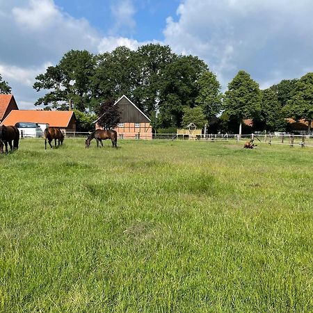 Landhaus Am Esch Варендорф Екстериор снимка