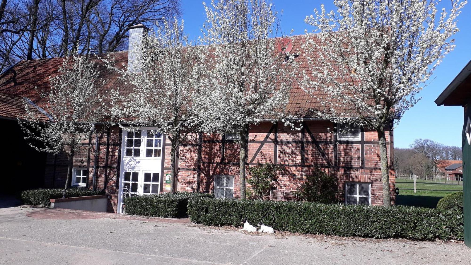 Landhaus Am Esch Варендорф Екстериор снимка
