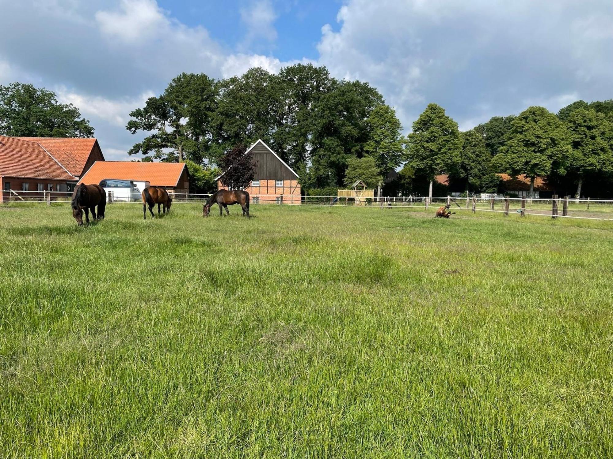 Landhaus Am Esch Варендорф Екстериор снимка